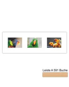 Galerierahmen Design 4217, 25x77, 3 Ausschnitte 13x18 buche-natur