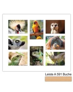 Galerierahmen Design 4241, 50x60, 8 Ausschnitte 13x18 buche-natur