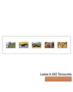 Galerierahmen Design 4215, 25x100, 5 Ausschnitte 10x15 terracotta
