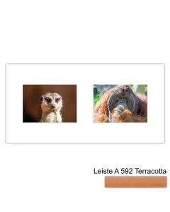 Galerierahmen Design 4216, 25x50, 2 Ausschnitte 13x18 terracotta