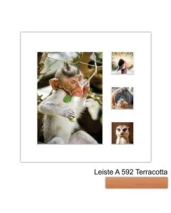 Galerierahmen Design 4224, 24x24, 1 Ausschnitt 13x18, 3 Ausschnitte 5x5 terracotta