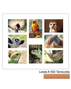 Galerierahmen Design 4241, 50x60, 8 Ausschnitte 13x18 terracotta