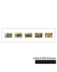 Galerierahmen Design 4215, 25x100, 5 Ausschnitte 10x15 mattschwarz