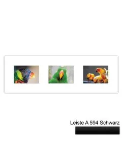 Galerierahmen Design 4217, 25x77, 3 Ausschnitte 13x18 mattschwarz