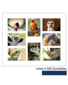 Galerierahmen Design 4241, 50x60, 8 Ausschnitte 13x18 dunkelblau