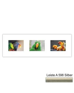 Galerierahmen Design 4217, 25x77, 3 Ausschnitte 13x18 altsilber