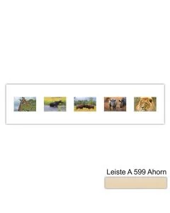 Galerierahmen Design 4215, 25x100, 5 Ausschnitte 10x15 ahorn-natur