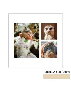 Galerierahmen Design 4225, 30x30, 1 Ausschnitt 15x20, 2 Ausschnitte 10x10 ahorn-natur