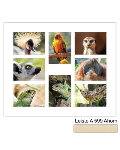 Galerierahmen Design 4241, 50x60, 8 Ausschnitte 13x18 ahorn-natur