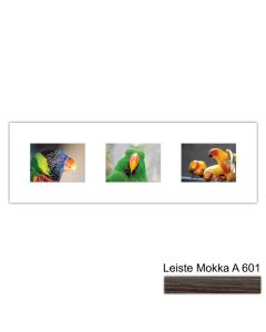 Galerierahmen Design 4217, 25x77, 3 Ausschnitte 13x18 mokka
