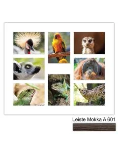 Galerierahmen Design 4241, 50x60, 8 Ausschnitte 13x18 mokka