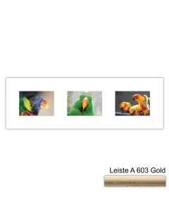 Galerierahmen Design 4217, 25x77, 3 Ausschnitte 13x18 altgold