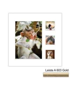 Galerierahmen Design 4224, 24x24, 1 Ausschnitt 13x18, 3 Ausschnitte 5x5 altgold
