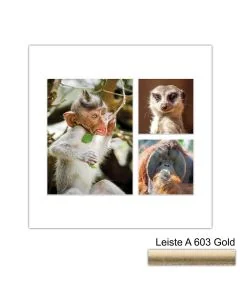 Galerierahmen Design 4225, 30x30, 1 Ausschnitt 15x20, 2 Ausschnitte 10x10 altgold