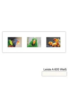 Galerierahmen Design 4217, 25x77, 3 Ausschnitte 13x18 schneeweiss