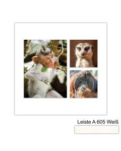 Galerierahmen Design 4225, 30x30, 1 Ausschnitt 15x20, 2 Ausschnitte 10x10 schneeweiss