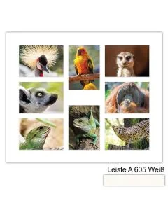 Galerierahmen Design 4241, 50x60, 8 Ausschnitte 13x18 schneeweiss