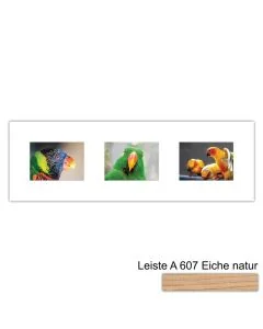 Galerierahmen Design 4217, 25x77, 3 Ausschnitte 13x18 braun-eiche-natur