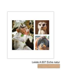 Galerierahmen Design 4225, 30x30, 1 Ausschnitt 15x20, 2 Ausschnitte 10x10 braun-eiche-natur