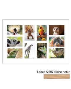 Galerierahmen Design 4232, 40x60, 10 Ausschnitte 10x15 braun-eiche-natur