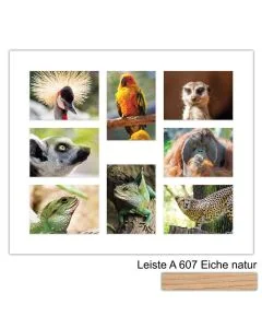Galerierahmen Design 4241, 50x60, 8 Ausschnitte 13x18 braun-eiche-natur