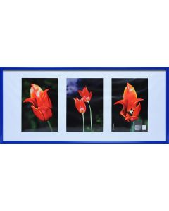 Fotogalerie Kunststoff Blau (3 Ausschnitte 13x18)