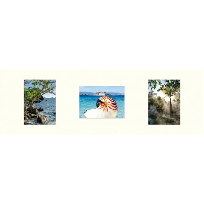 Galerie-Passepartout 4252 für Rahmen 25x77