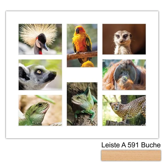 Galerierahmen Design 4241, 50x60, 8 Ausschnitte 13x18 buche-natur