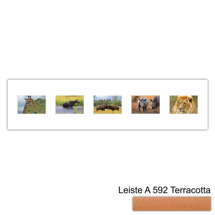 Galerierahmen Design 4215, 25x100, 5 Ausschnitte 10x15 terracotta