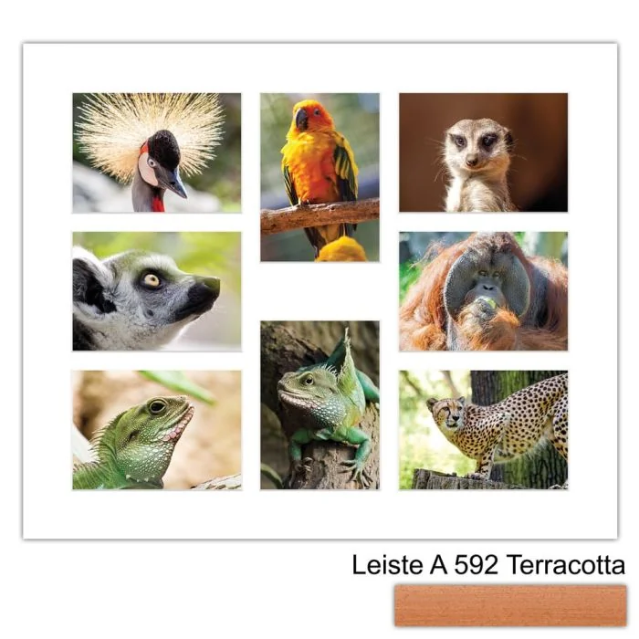 Galerierahmen Design 4241, 50x60, 8 Ausschnitte 13x18 terracotta