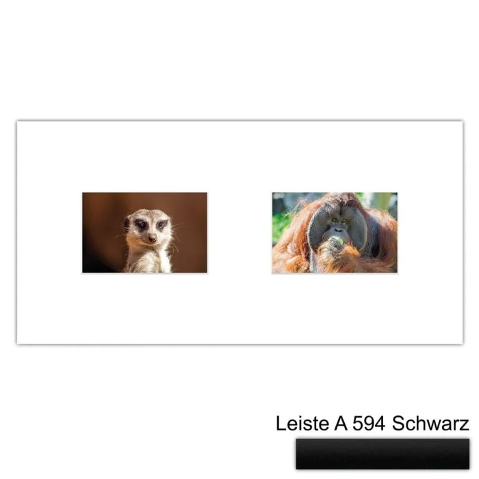 Galerierahmen Design 4212, 25x50, 2 Ausschnitte 10x15 mattschwarz