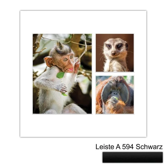 Galerierahmen Design 4225, 30x30, 1 Ausschnitt 15x20, 2 Ausschnitte 10x10 mattschwarz