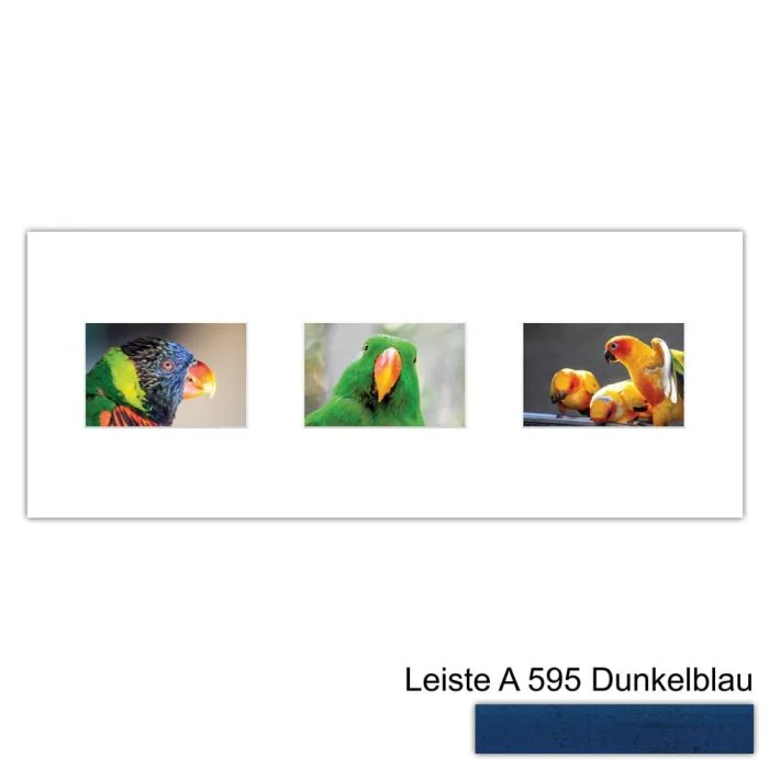 Galerierahmen Design 4213, 25x62,5, 3 Ausschnitte 10x15 dunkelblau