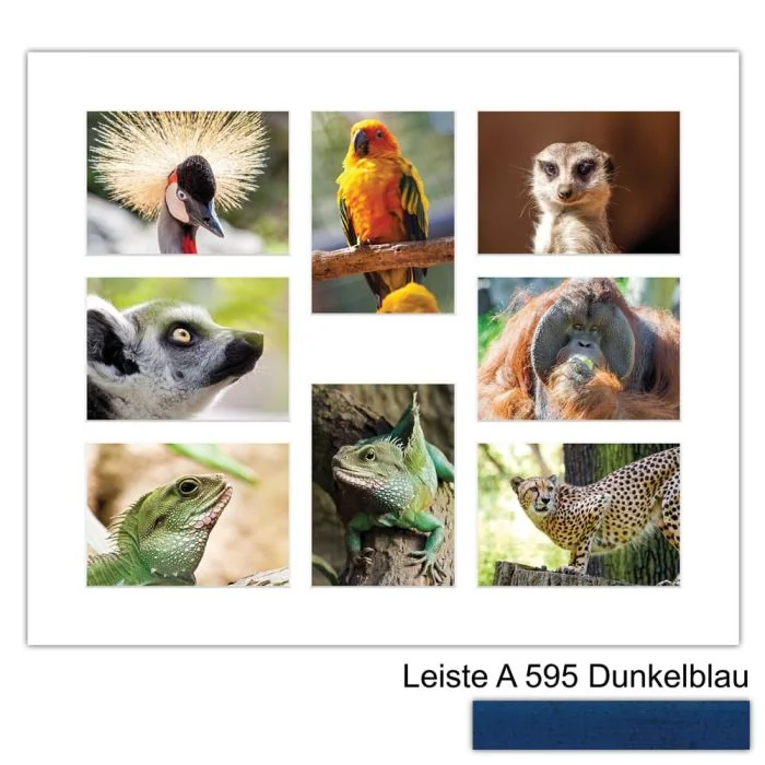 Galerierahmen Design 4241, 50x60, 8 Ausschnitte 13x18 dunkelblau