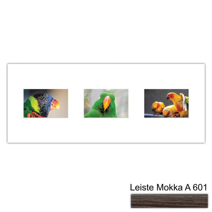 Galerierahmen Design 4213, 25x62,5, 3 Ausschnitte 10x15 mokka