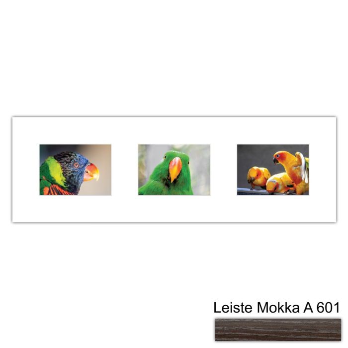 Galerierahmen Design 4217, 25x77, 3 Ausschnitte 13x18 mokka