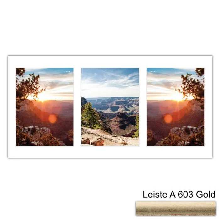 Galerierahmen Design 4209, 25x50, 3 Ausschnitte 15x20 altgold