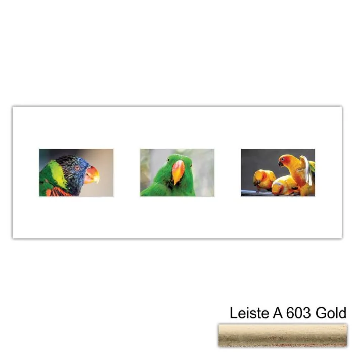 Galerierahmen Design 4213, 25x62,5, 3 Ausschnitte 10x15 altgold