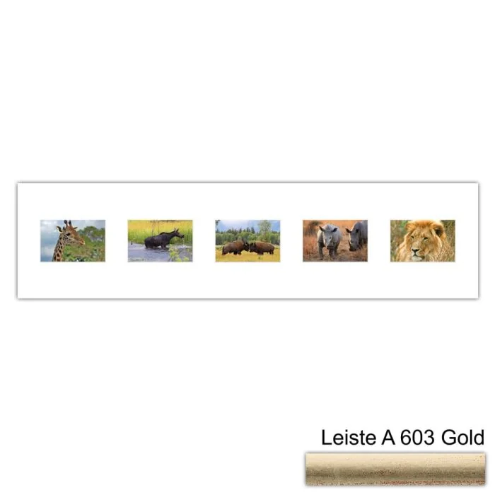 Galerierahmen Design 4215, 25x100, 5 Ausschnitte 10x15 altgold