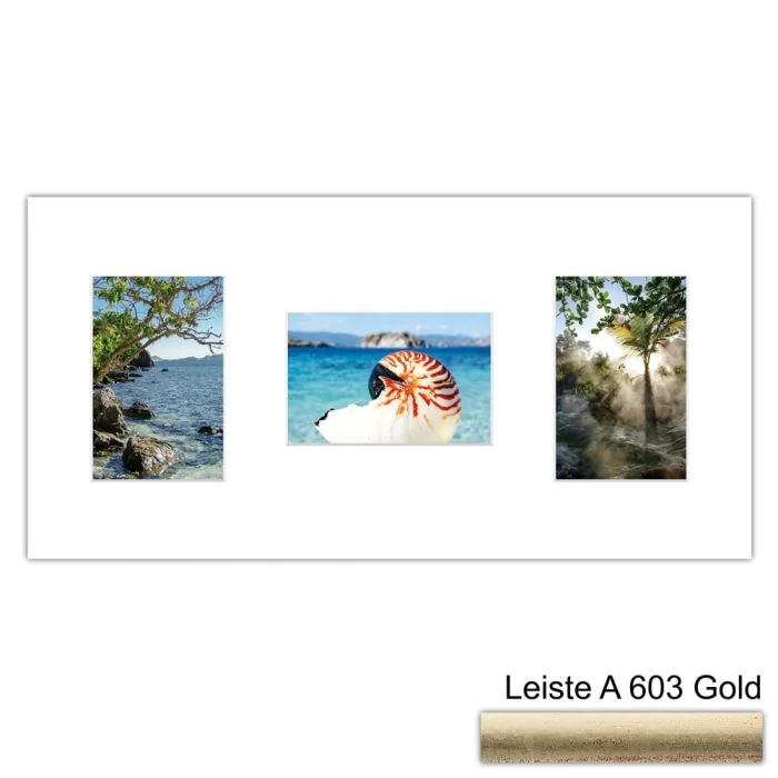 Galerierahmen Design 4251, 25x50, 3 Ausschnitte 10x15 altgold