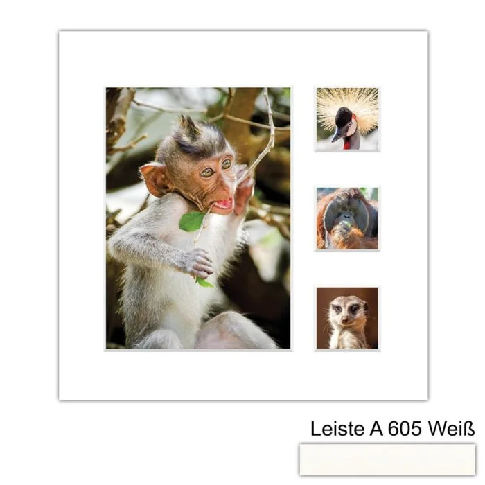 Galerierahmen Design 4224, 24x24, 1 Ausschnitt 13x18, 3 Ausschnitte 5x5 schneeweiss