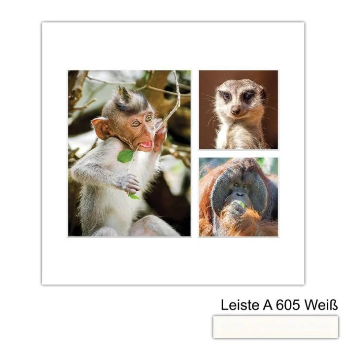 Galerierahmen Design 4225, 30x30, 1 Ausschnitt 15x20, 2 Ausschnitte 10x10 schneeweiss