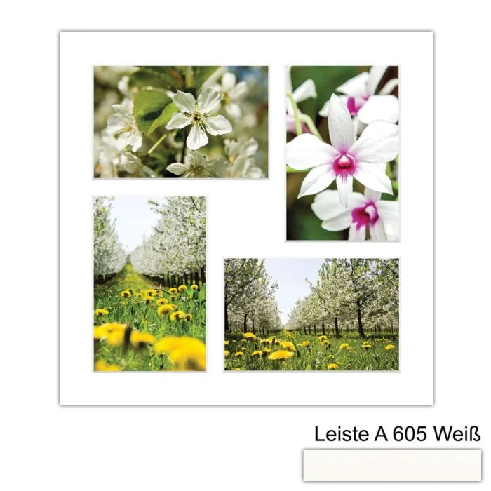 Galerierahmen Design 4226, 30x30, 4 Ausschnitte 10x15 schneeweiss
